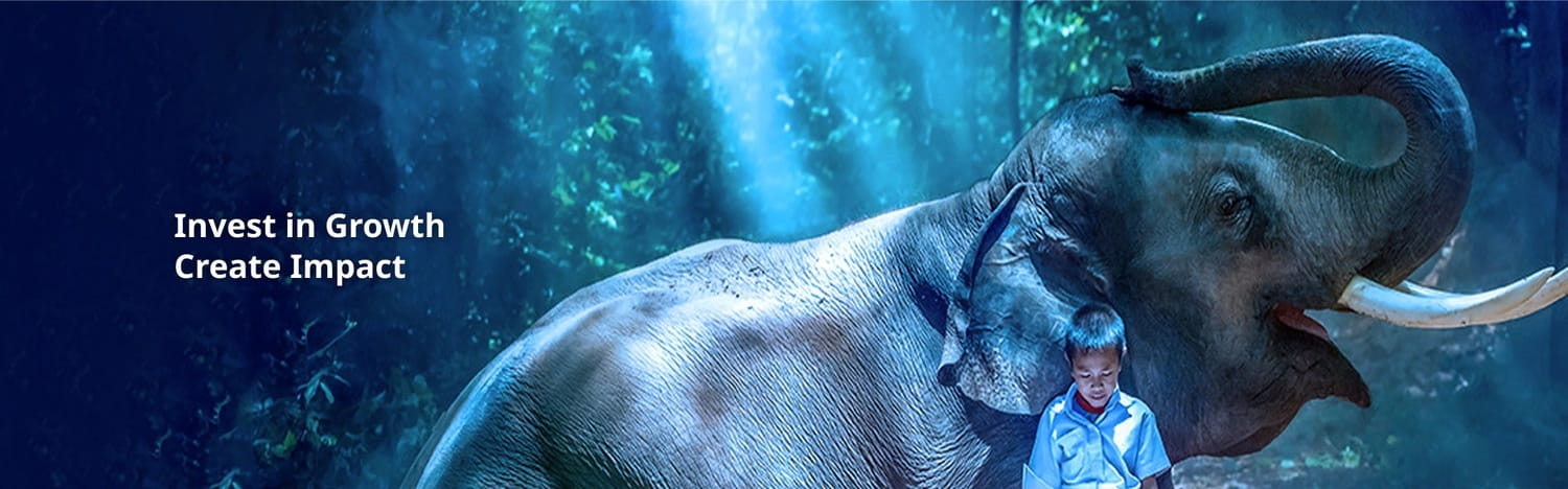 Invest in Growth, Create Impact